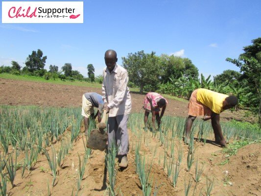 Joyce's family garden of onions weeding.jpg